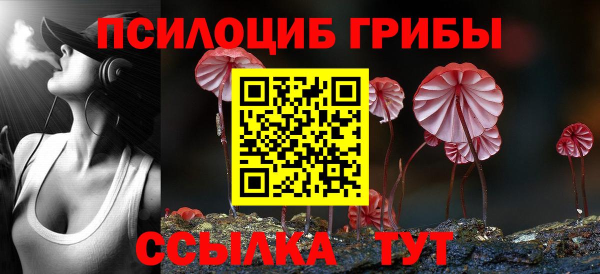 Псилоцибиновые грибы Magic Shrooms  дарнет шоп  Коряжма  Вход с VPN 
